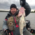 Фото рыбалки в Сом канальный 3