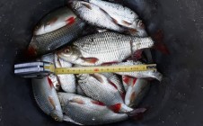 Фото рыбалки в Тамбовская область 8