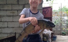 Фото рыбалки в Вольнянск 1