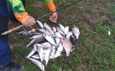 Фото рыбалки в Ярославский район 10