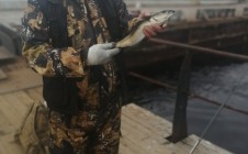 Фото рыбалки в городской округ Город Мурманск 4