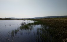 Фото рыбалки в Чайковский городской округ 6