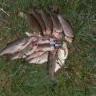Фото рыбалки в Белоглазка, Лещ, Синец 2