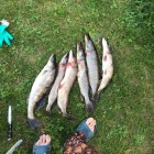 Фото рыбалки в Красноперка, Окунь, Щука 3