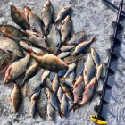 Фото рыбалки в Карась, Сазан 2