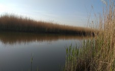 Фото рыбалки в Пешково 2