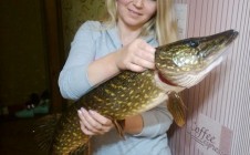 Фото рыбалки в Леськи 7