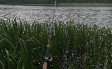 Фото рыбалки в Озёры, Гродненский район 4