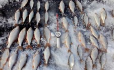 Фото рыбалки в Кызылжарский район 1
