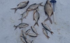 Фото рыбалки в Пристанское 0