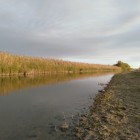 Фото рыбалки в Амур Белый, Окунь, Сазан, Сом, Судак 3