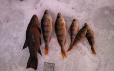 Фото рыбалки в Барятинский район 1