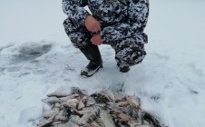 Фото рыбалки в Балашовский район 1