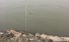 Фото рыбалки в Пристань-Почта 7