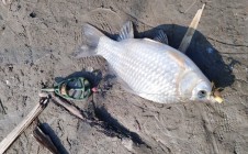 Фото рыбалки в Крымский район 2