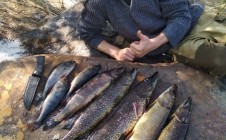 Фото рыбалки в Муезерский район 1