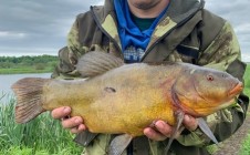 Фото рыбалки в Полесский городской округ 7