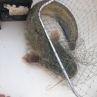 Фото рыбалки в Спинороги 5