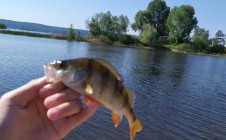 Фото рыбалки в Зеленодольский район 10