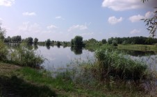 Фото рыбалки в Сосновский район 2