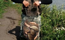 Фото рыбалки в Карачевский район 10