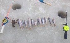 Фото рыбалки в Рожищенский район 1