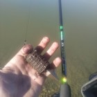 Фото рыбалки в Окунь 4
