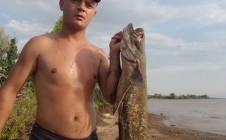 Фото рыбалки в Дмитриевка, Духовницкий район 1