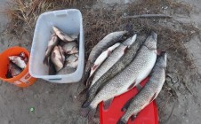 Фото рыбалки в Кедр, городской округ Лангепас 0