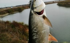 Фото рыбалки в Троицкое, Липецкий район 6