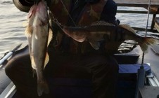 Фото рыбалки в Гагаринский район 6