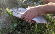 Фото рыбалки в Ишимбайский район 7