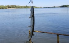 Фото рыбалки в Приволжский район 5
