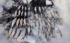 Фото рыбалки в Долматово, Кызылжарский район 0
