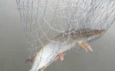 Фото рыбалки в городской округ Глазов 1