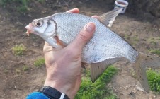 Фото рыбалки в Польша 4