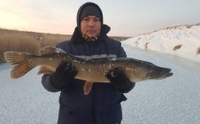 Фото рыбалки в Иргизский район 1