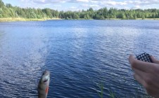 Фото рыбалки в Возрождение, Ломоносовский район 2