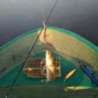 Фото рыбалки в Карась, Карп 7