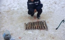 Фото рыбалки в Степаново, Череповецкий район 4