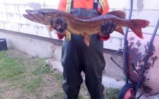 Фото рыбалки в Бобруйский район 7