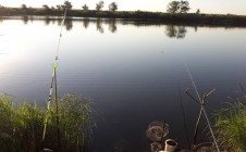Фото рыбалки в Дарьинское 0