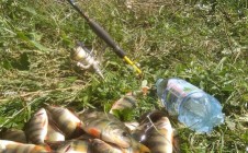 Фото рыбалки в Грибоедово, Долгоруковский район 0