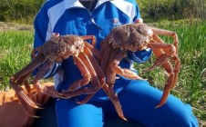 Фото рыбалки в Вилючинский городской округ 0