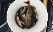 Фото рыбалки в Херсонский городской совет 1
