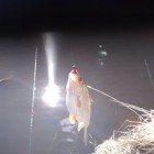Фото рыбалки в Окунь 7