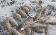 Фото рыбалки в Балыклы 0