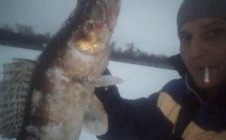 Фото рыбалки в Усть-Кинельский 9