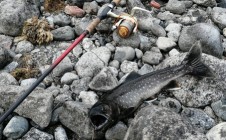 Фото рыбалки в Ловозерский район 4