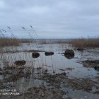 Фото рыбалки в Щука, Окунь 0